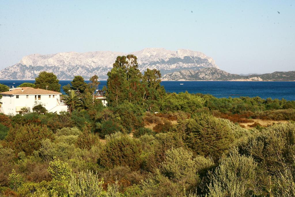 Hotel Mare Blue Όλμπια Εξωτερικό φωτογραφία